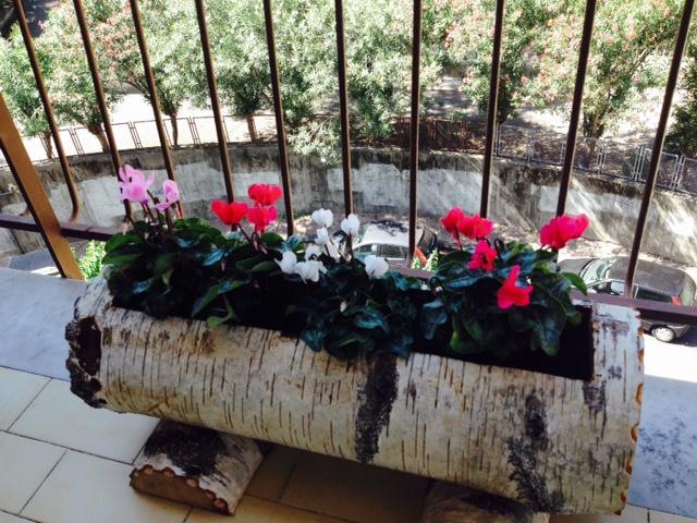 Bed & Breakfast Chiavi Antiche *